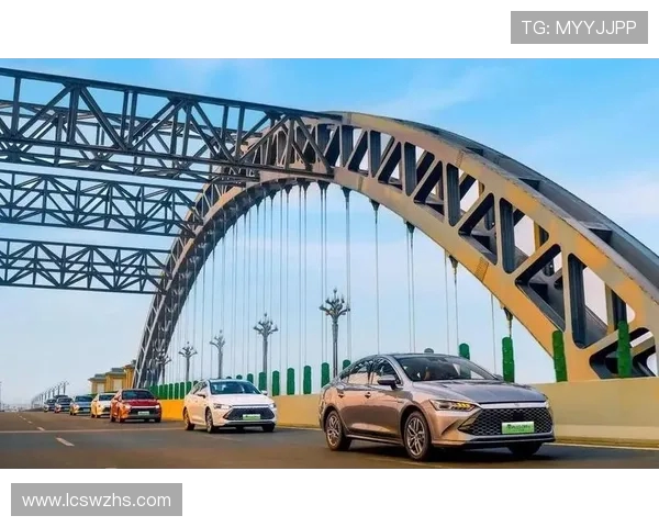 乌兹总统赠 42 辆比亚迪嘉奖世界杯功臣(2)